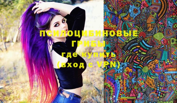 гидропоника Горно-Алтайск