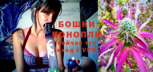 МДПВ Горняк
