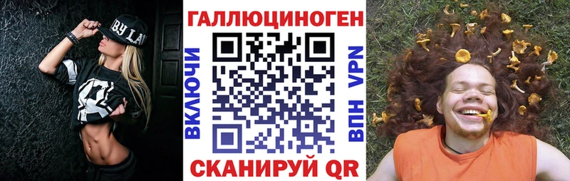 купить наркоту  MEGA зеркало  Галлюциногенные грибы мицелий  Димитровград 