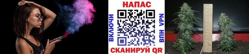 купить   Димитровград  Бошки марихуана VHQ 